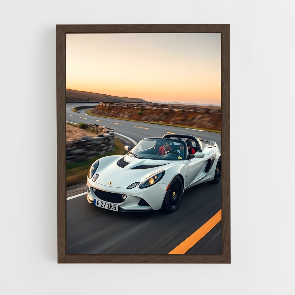 Poster Lotus Spirit (vue 5)